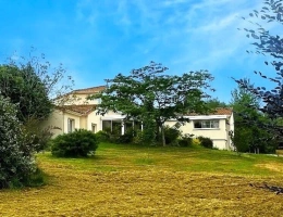 Vignette - Tourist - House