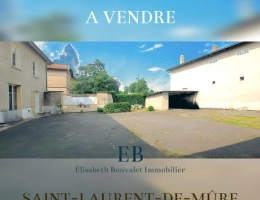 Vignette - Touristique - A vendre - Corps de ferme au charme rustique avec un fort potentiel de division - Saint-Laurent-De-Mûre