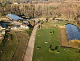 Vignette - Agricole - Propriété équestre de 12 hectares (33)
