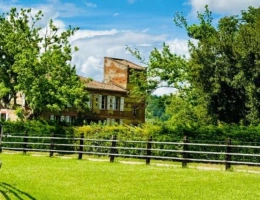 Vignette - Équestre - Propriété équestre de 5 hectares (82)
