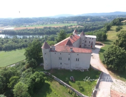 Vignette - Prestigious - House for sale 23 rooms JUJURIEUX (01)