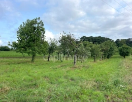 Vignette - Agricole - Terrain non constructible 12 000 m² avec verger – Nivillac (56130)