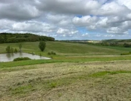Vignette - Agricole - 90 ha irrigués (Tarn et Garonne) 28 ha noisetiers.