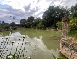 Vignette - Foncière - Dpt Maine et Loire (49), à vendre proche de SEICHES SUR LE LOIR, Terrain de loisirs avec son étang
