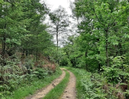 Vignette - Forestière - Propriété de 8 hectares dans la vallée de la Cère