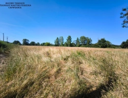 Vignette - Foncière - Terrain non constructible de 12 560 m² à Châtres-sur-Cher (41) En bordure du Cher