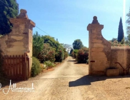Vignette - Agricole - Domaine viticole & touristique de prestige – 63 ha – Proche Méditerranée