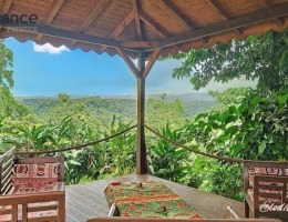 Vignette - Prestigious - 12-room mountain view property comprising a villa and 1 Creole house