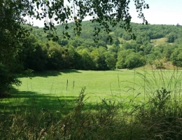 Vignette - Prestige - Domaine