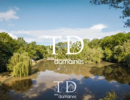 Vignette - Foncière - À vendre - Étang boisé de plus d'1 hectare à Cosne-sur-L
