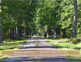 Vignette - Forestière - Propriété de Chasse et d'Agrément de 290 hectares en Sologne