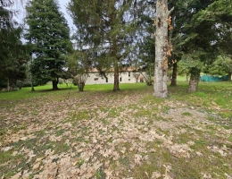 Vignette - Prestige - Maison