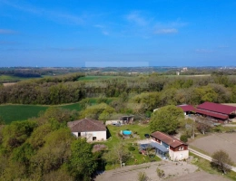 Vignette - Tourist - Property
