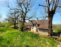 Vignette - Tourist - House