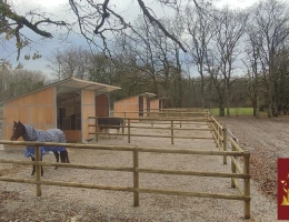 Vignette - Equestrian - Equestrian structure in the immediate vicinity of Switzerland and 30 min from Geneva