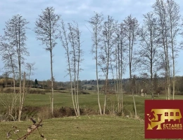 Vignette - Prestigious - A vendre  à proximité de Lisieux propriété sur 16 ha