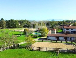 Vignette - Équestre - Propriété équestre d'exception 4 hectares
