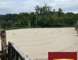 Vignette - Équestre - Centre equestre au nord de Paris