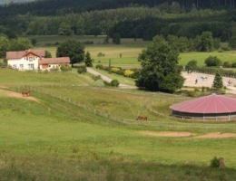 Vignette - Équestre - Domaine équestre d'exception (88)