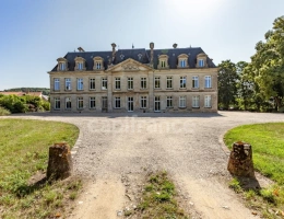 Vignette - Prestige - Château XVIIIème siècle à vendre Soissons (02)