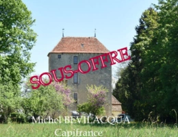 Vignette - Prestige - Propriete à vendre le Château d'OUROUER à OUROUER LES BOURDELINS (18) avec dépendances sur plus d'un hectare