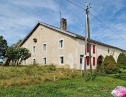 Vignette - Tourist - Dpt Vosges (88), for sale near CONTREXEVILLE - FERME LORRAINE T7 on 1.7 hectares of LAND
