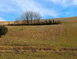 Vignette - Land - Agricultural land