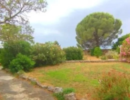 Vignette - Touristique - MAS