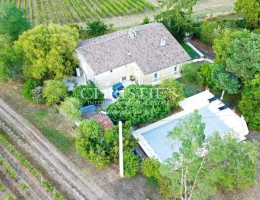 Vignette - Prestige - Bordeaux 35 min - Entre-Deux-Mers - Superbe demeure en pierre, - 1,2 ha - piscine