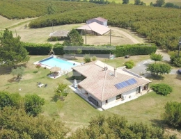 Vignette - Agricultural - Orchard property