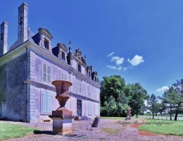 Vignette - Prestigious - 17th century castle for sale, 17 rooms, FOUSSAIS PAYRE (85)