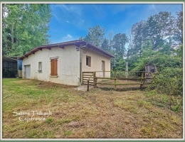 Vignette - Foncière - Dpt Indre-et-Loire (37) A vendre CHATEAU LA VALLIERE Terrain de loisir avec étang