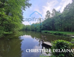 Vignette - Forest - Fôret avec étang à Craon