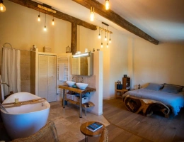 Vignette - Equestrian - Property