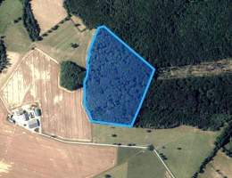 Vignette - Forest - VENDU Futaie et taillis sous futaie sur 12 hectares environ