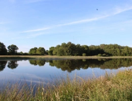 Vignette - Foncière - Bel étang en plein coeur de la Brenne