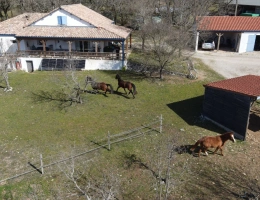 Vignette - Équestre - 2 hectares de charme à deux pas de Lalbenque (46)