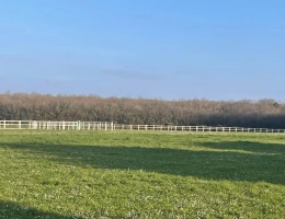 Vignette - Équestre - Propriété d'exception au coeur de la nature