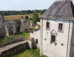Vignette - Prestige - Château du Moyen Age