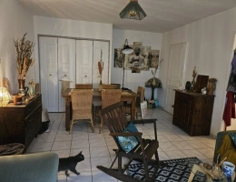 Vignette - Equestrian - Property