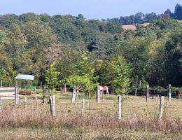 Vignette - Equestrian - Recreational land