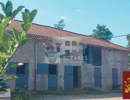 Vignette - Équestre - Propriété équestre 14 hectares