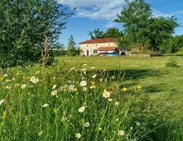 Vignette - Prestige - Maison