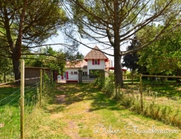 Vignette - Equestrian - Propriete à vendre 8 pièces SURGERES (17)
