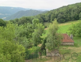 Vignette - Touristique - Ensemble de Propriété entouré par 4 hectares secteur Beaulieu-sur-Dordogne