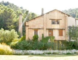 Vignette - Tourist - Propriete à vendre 0 pièces VAISON LA ROMAINE (84)