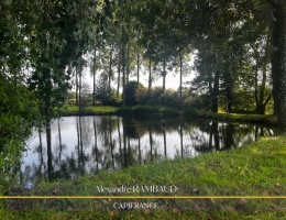 Vignette - Land - Etang à vendre proche de Fougères et Ernée
