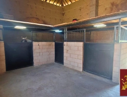 Vignette - Equestrian - Maison et dépendance 3,6 hectares
