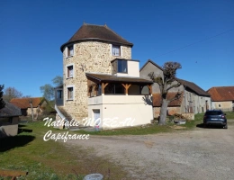 Vignette - Prestige - Propriete à vendre 7 pièces IGORNAY (71) - Ancienne tour Médiéval et Moulin à Eau