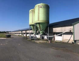 Vignette - Agricole - Exploitation Avicole située entre Lesneven et les plages du Nord Finistère